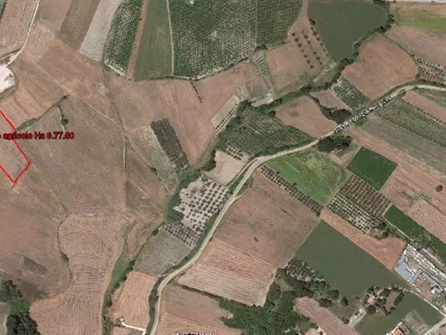 Immagine 1 di Terreno agricolo in vendita  in Provinciale Trignina a Cupello