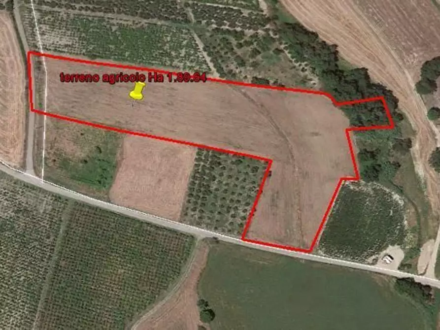 Immagine 2 di Terreno agricolo in vendita  in senza nome a Cupello