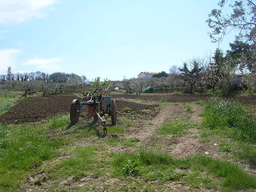 Immagine 3 di Terreno residenziale in vendita  in Monteleforche a Carunchio