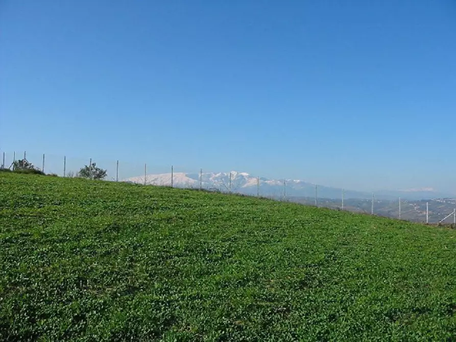 Immagine 3 di Terreno agricolo in vendita  in Provinciale 212 ex Strada Statale 86 a Cupello