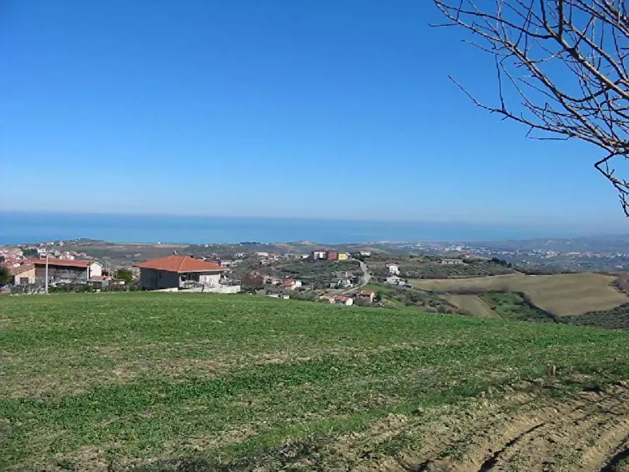 Immagine 2 di Terreno agricolo in vendita  in Provinciale 212 ex Strada Statale 86 a Cupello