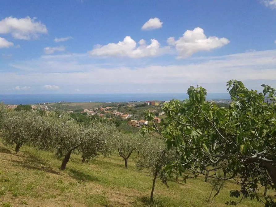 Immagine 7 di Terreno agricolo in vendita  in Provinciale 212 ex Strada Statale 86 a Cupello