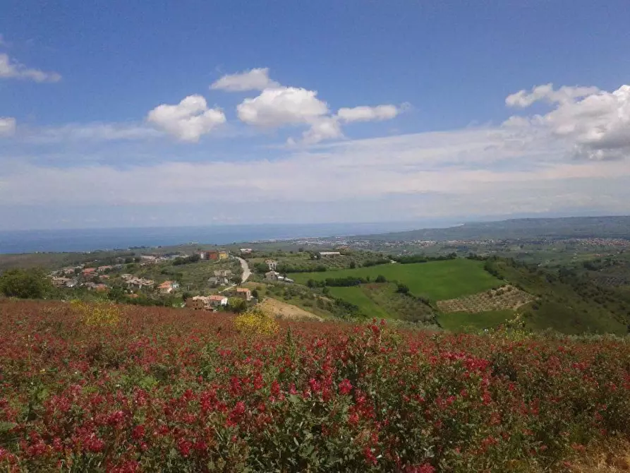 Immagine 15 di Terreno agricolo in vendita  in Provinciale 212 ex Strada Statale 86 a Cupello