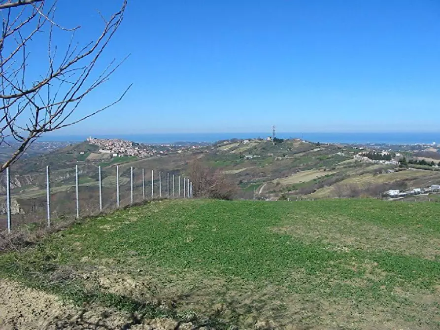 Immagine 6 di Terreno agricolo in vendita  in Provinciale 212 ex Strada Statale 86 a Cupello