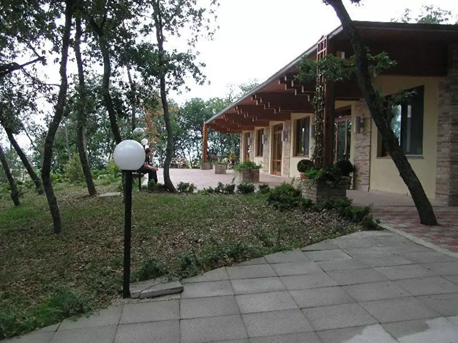 Immagine 6 di Locale commerciale in vendita  in Ctr. Ributtini a Cupello