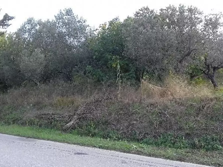 Immagine 1 di Terreno residenziale in vendita  in Polercia a Cupello