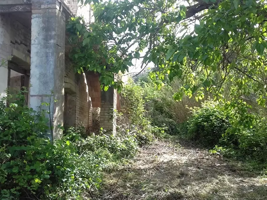 Immagine 6 di Rustico / casale in vendita  in contrada Tratturo a Carunchio