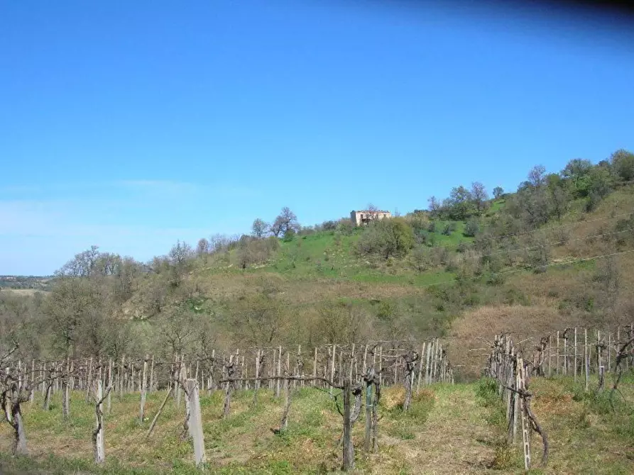 Immagine 5 di Rustico / casale in vendita  in contrada Tratturo a Carunchio