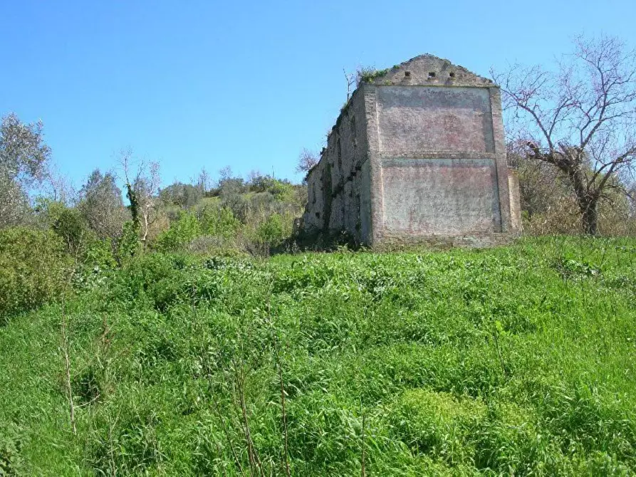 Immagine 4 di Rustico / casale in vendita  in contrada Tratturo a Carunchio