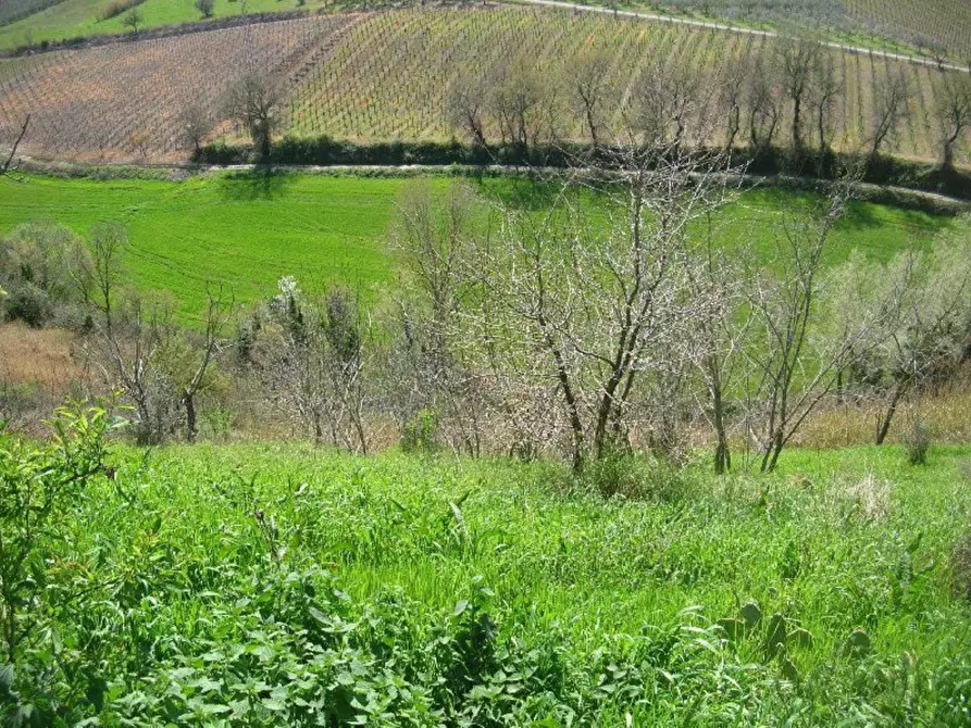 Immagine 7 di Rustico / casale in vendita  in contrada Tratturo a Carunchio