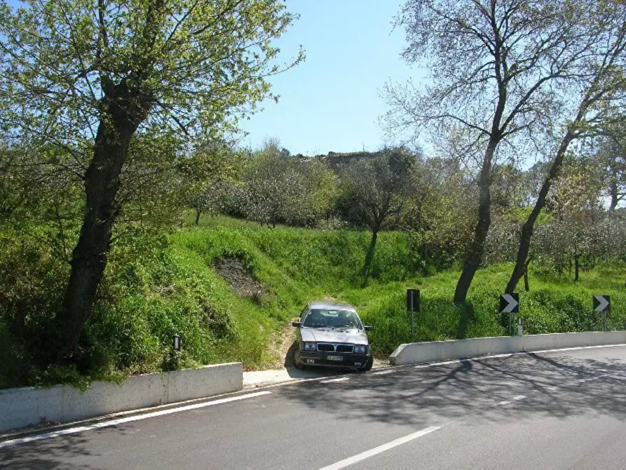 Immagine 10 di Rustico / casale in vendita  in contrada Tratturo a Carunchio