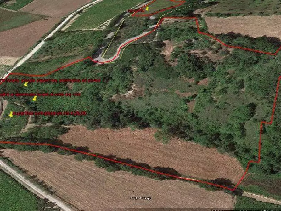 Immagine 12 di Rustico / casale in vendita  in contrada Tratturo a Carunchio