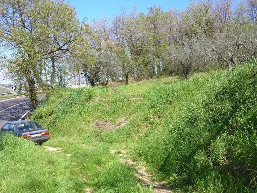 Immagine 11 di Rustico / casale in vendita  in contrada Tratturo a Carunchio