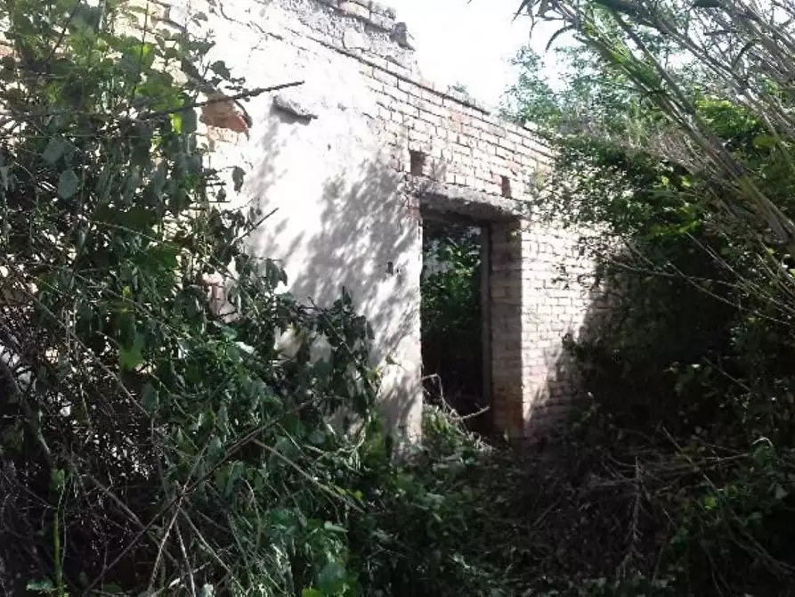 Immagine 15 di Rustico / casale in vendita  in contrada Tratturo a Carunchio