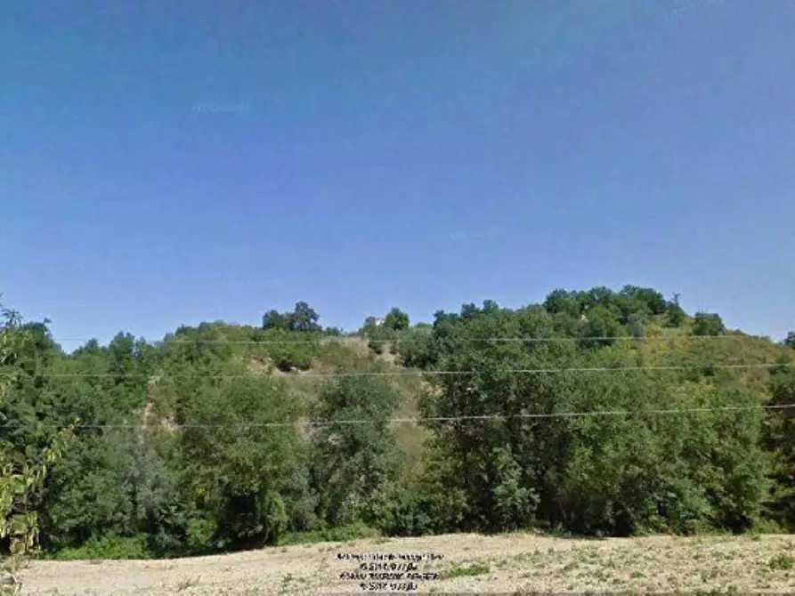 Immagine 13 di Rustico / casale in vendita  in contrada Tratturo a Carunchio