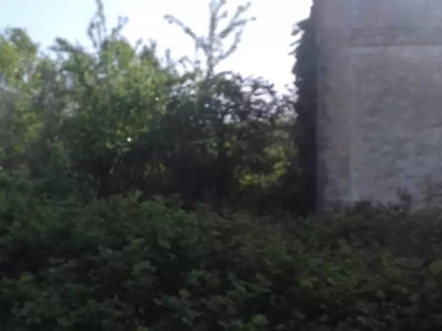 Immagine 17 di Rustico / casale in vendita  in contrada Tratturo a Carunchio