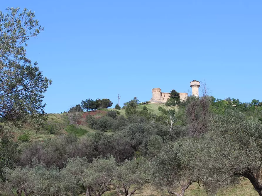 Immagine 2 di Terreno agricolo in vendita  in Sotto Castello snc a Carunchio