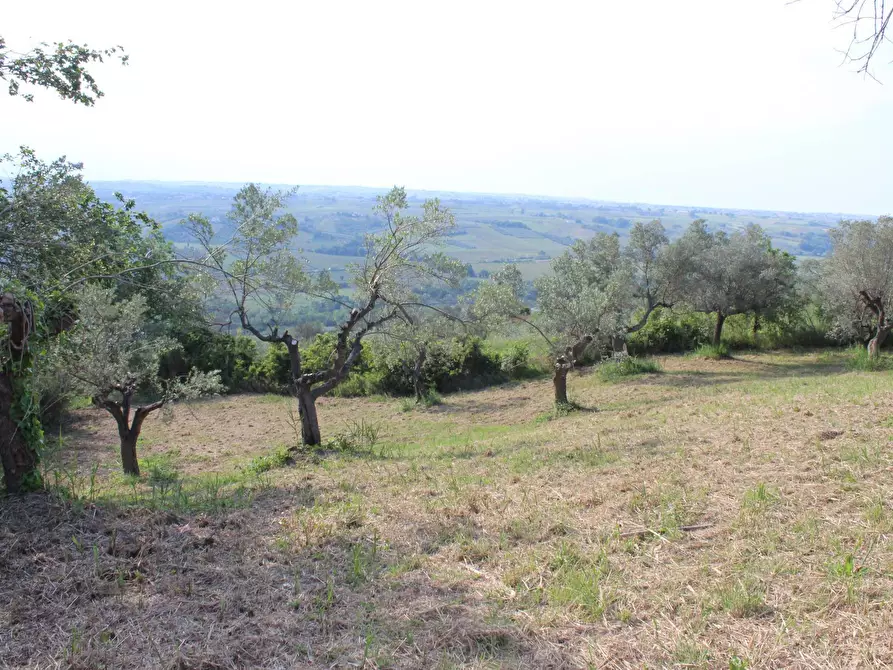 Immagine 17 di Terreno agricolo in vendita  in Sotto Castello snc a Carunchio