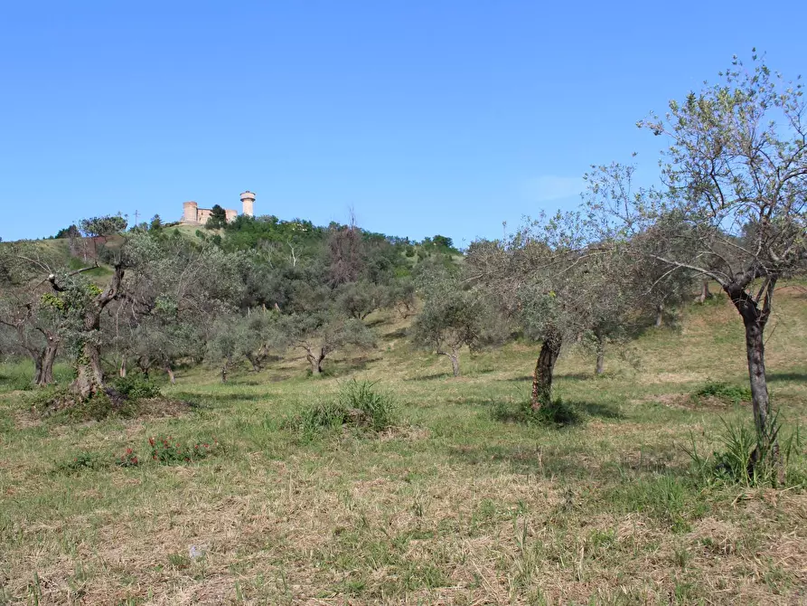 Immagine 13 di Terreno agricolo in vendita  in Sotto Castello snc a Carunchio