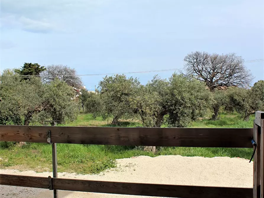 Immagine 12 di Appartamento in vendita  a Casalbordino