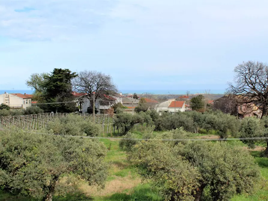 Immagine 5 di Appartamento in vendita  a Casalbordino