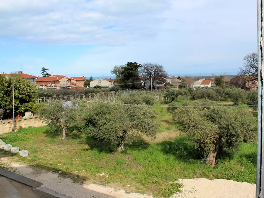 Immagine 43 di Appartamento in vendita  a Casalbordino