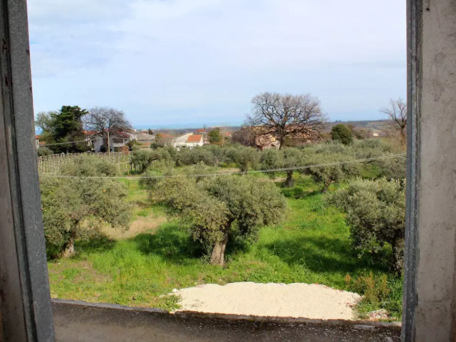 Immagine 16 di Appartamento in vendita  a Casalbordino