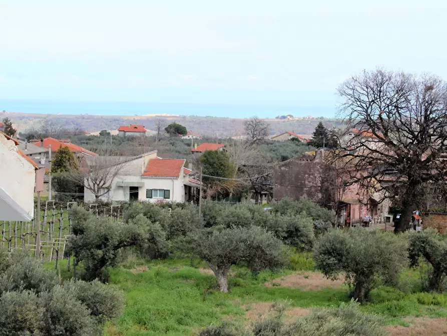 Immagine 41 di Appartamento in vendita  a Casalbordino