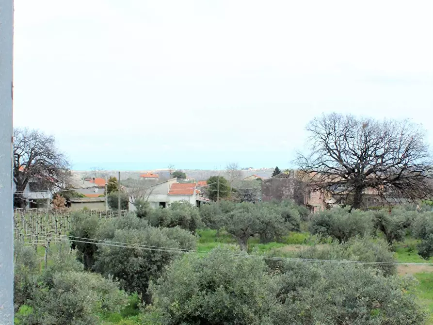 Immagine 25 di Appartamento in vendita  a Casalbordino