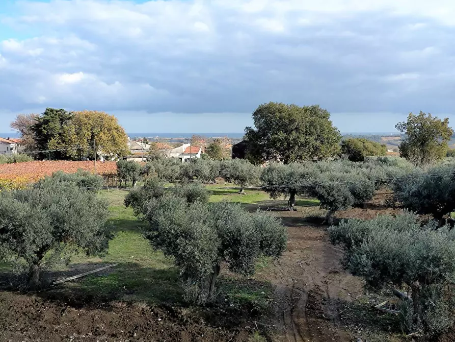 Immagine 22 di Appartamento in vendita  a Casalbordino