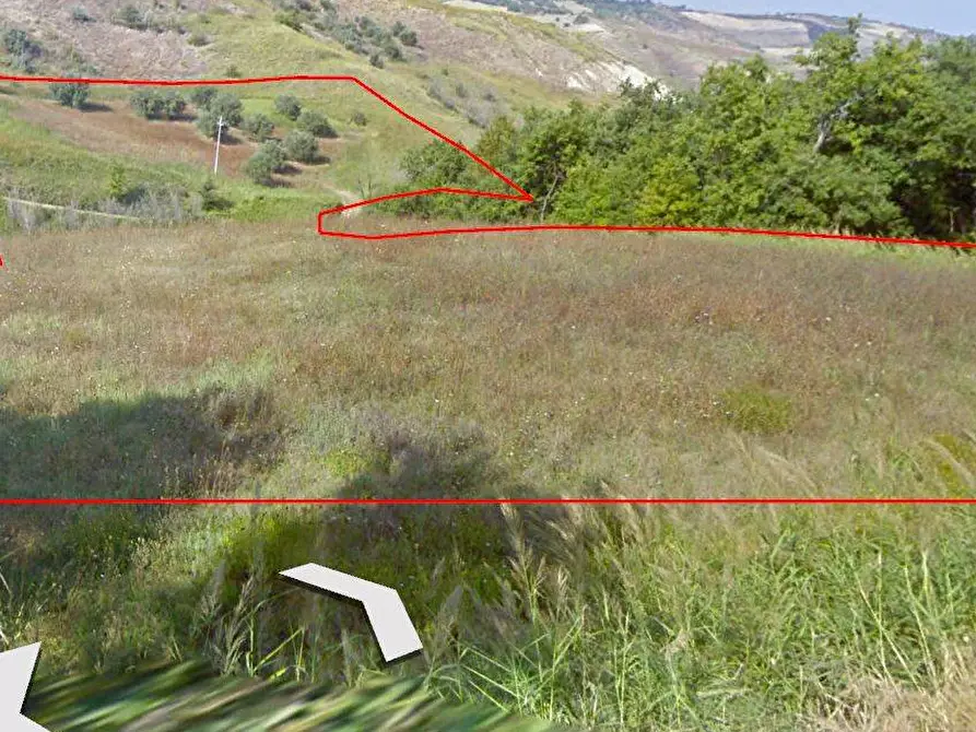 Immagine 2 di Terreno agricolo in vendita  in c.da Ramignano / Strampanato a Cupello