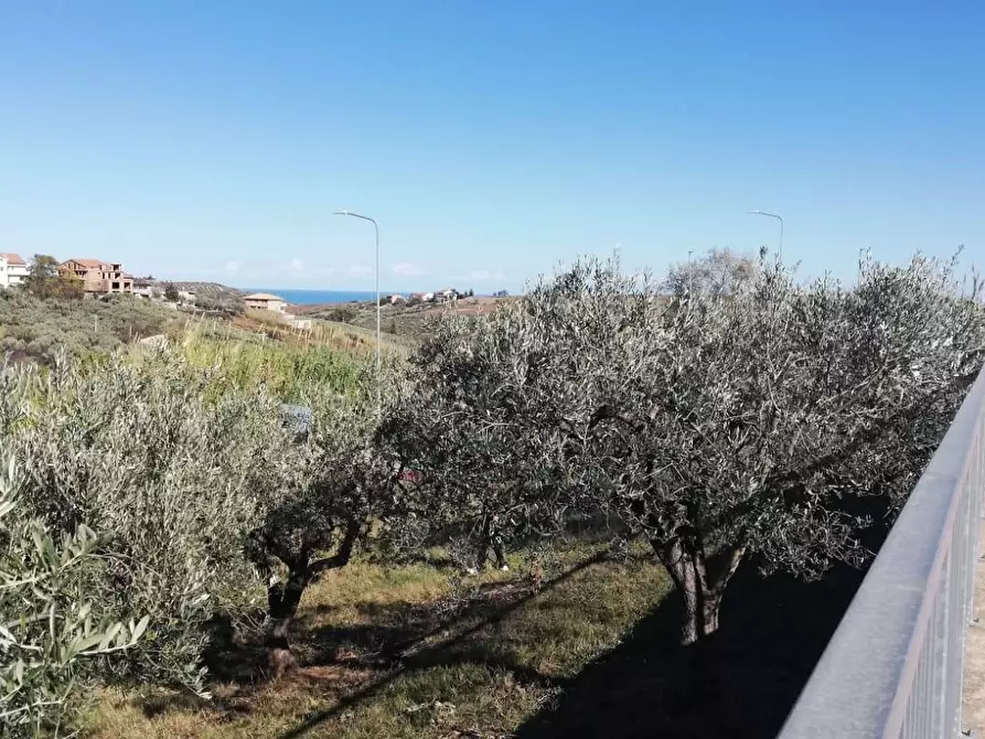 Immagine 3 di Terreno residenziale in vendita  in viale Giovanni XXIII snc a Cupello