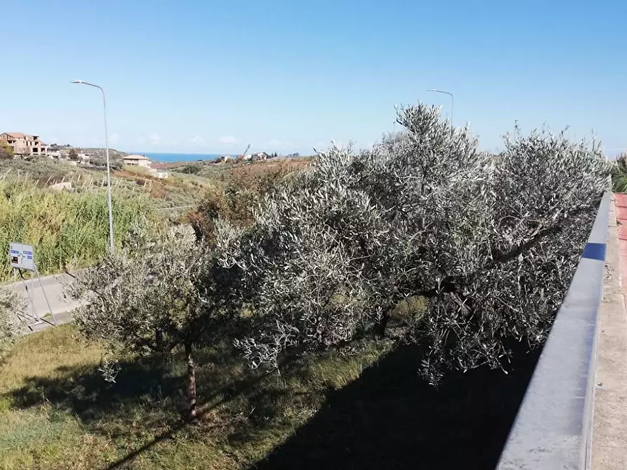 Immagine 11 di Terreno residenziale in vendita  in viale Giovanni XXIII snc a Cupello