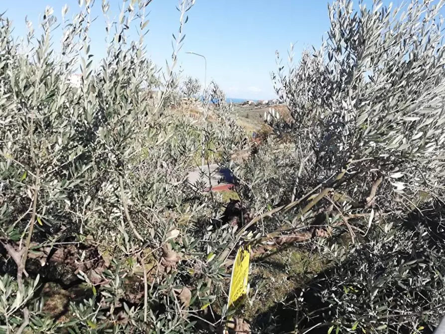 Immagine 12 di Terreno residenziale in vendita  in viale Giovanni XXIII snc a Cupello