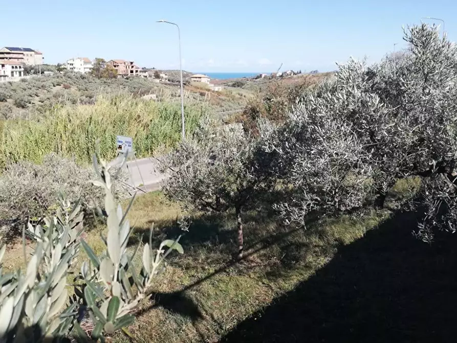 Immagine 10 di Terreno residenziale in vendita  in viale Giovanni XXIII snc a Cupello