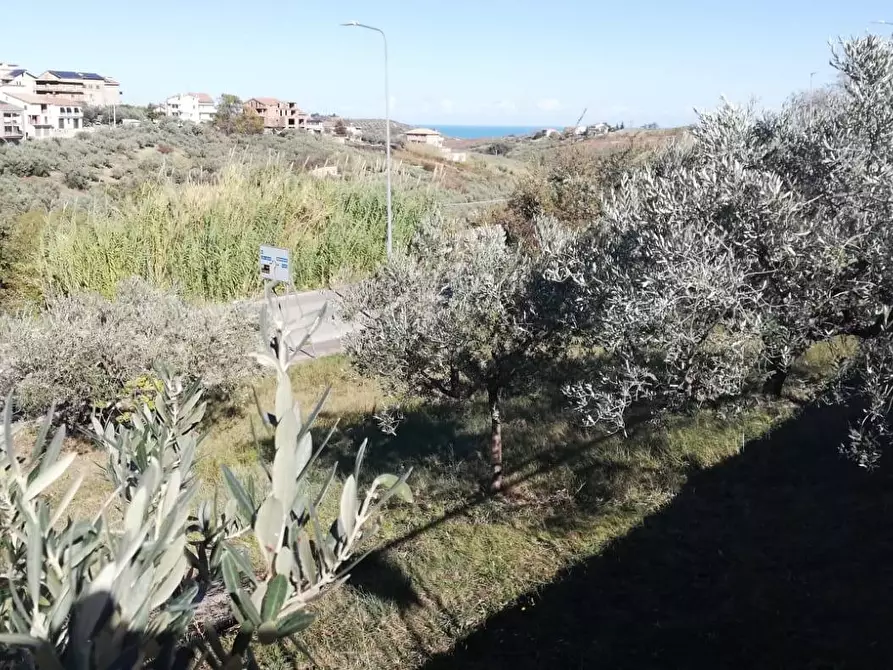 Immagine 13 di Terreno residenziale in vendita  in viale Giovanni XXIII snc a Cupello