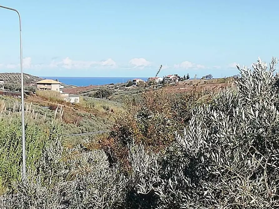 Immagine 16 di Terreno residenziale in vendita  in viale Giovanni XXIII snc a Cupello