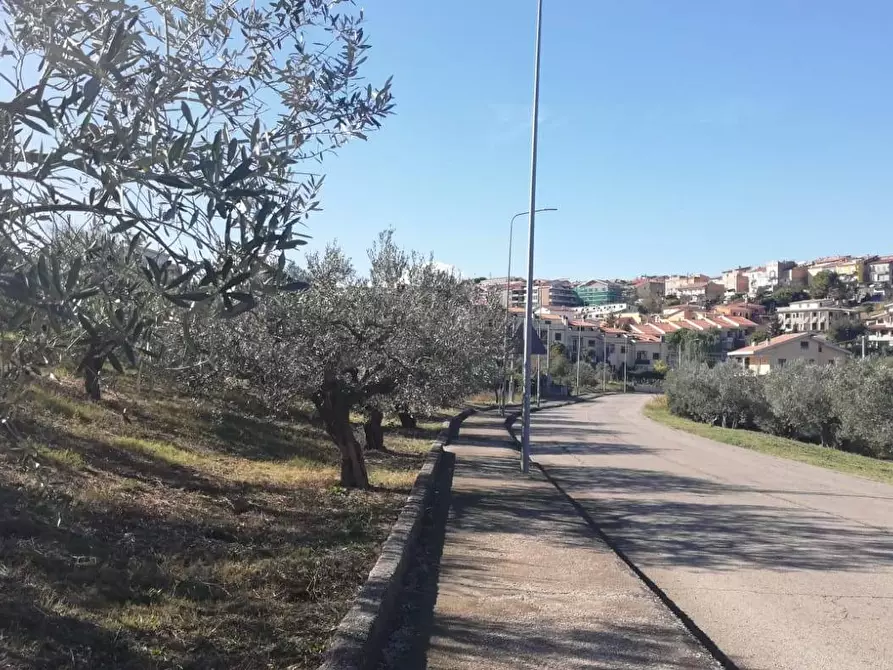 Immagine 17 di Terreno residenziale in vendita  in viale Giovanni XXIII snc a Cupello