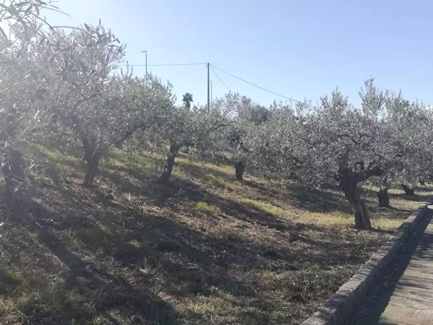 Immagine 18 di Terreno residenziale in vendita  in viale Giovanni XXIII snc a Cupello
