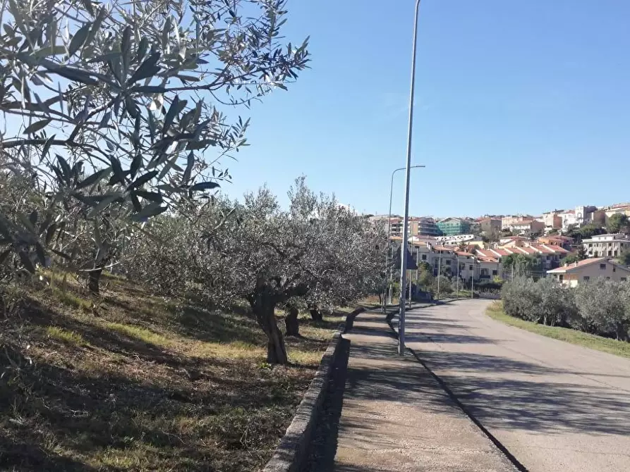 Immagine 19 di Terreno residenziale in vendita  in viale Giovanni XXIII snc a Cupello