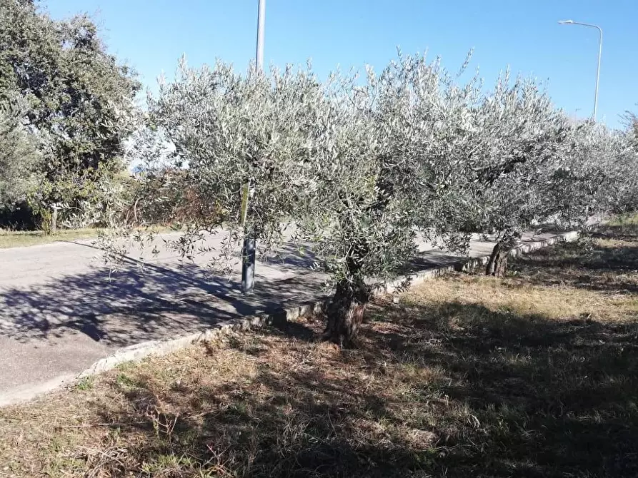 Immagine 22 di Terreno residenziale in vendita  in viale Giovanni XXIII snc a Cupello