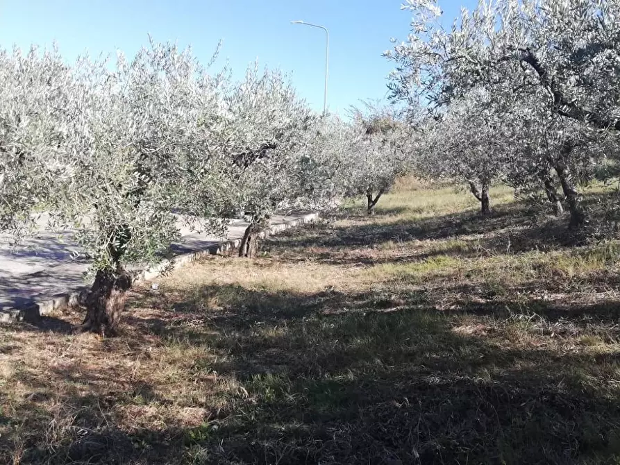 Immagine 25 di Terreno residenziale in vendita  in viale Giovanni XXIII snc a Cupello