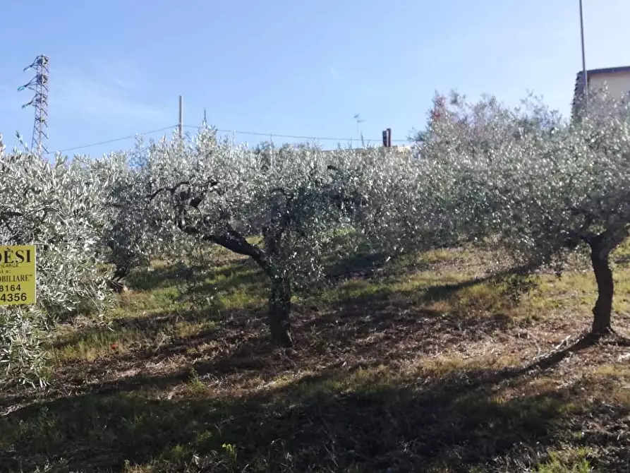Immagine 20 di Terreno residenziale in vendita  in viale Giovanni XXIII snc a Cupello