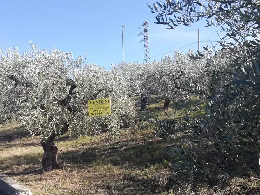 Immagine 14 di Terreno residenziale in vendita  in viale Giovanni XXIII snc a Cupello