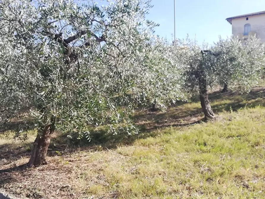 Immagine 26 di Terreno residenziale in vendita  in viale Giovanni XXIII snc a Cupello