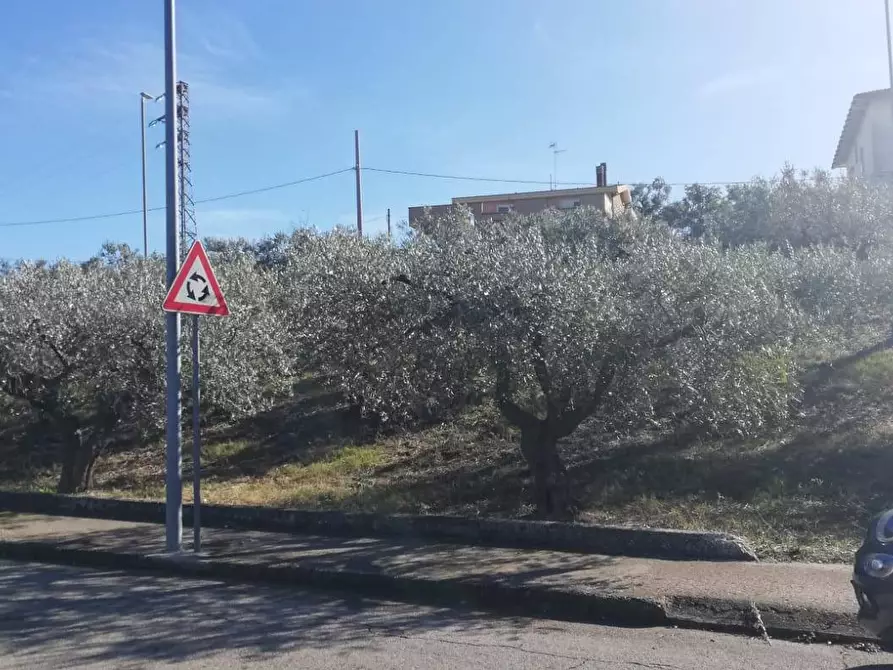 Immagine 28 di Terreno residenziale in vendita  in viale Giovanni XXIII snc a Cupello