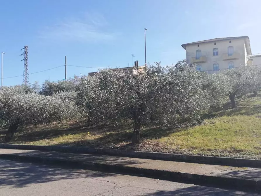 Immagine 30 di Terreno residenziale in vendita  in viale Giovanni XXIII snc a Cupello