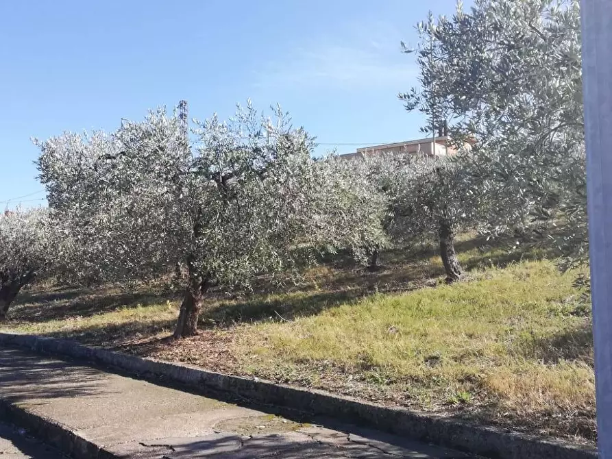 Immagine 32 di Terreno residenziale in vendita  in viale Giovanni XXIII snc a Cupello