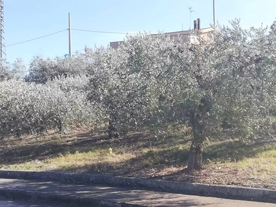 Immagine 33 di Terreno residenziale in vendita  in viale Giovanni XXIII snc a Cupello