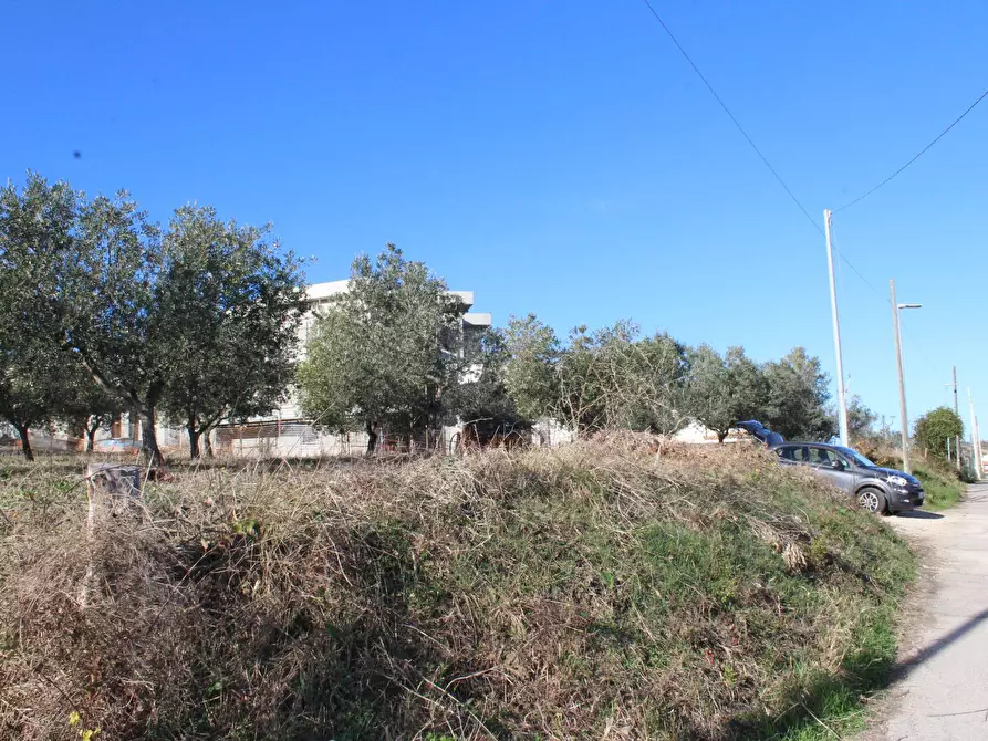 Immagine 15 di Terreno residenziale in vendita  in via Aldo Moro a Cupello